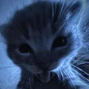 lucius.stryke