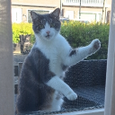 avatar ꧁ᬊᬁᴀɴɢᴇʟᬊ᭄꧂