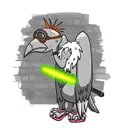 kingcondorscondors.io9365