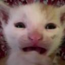 Ssss*