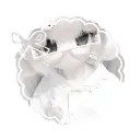 spinasrosa