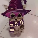 panconqueso7417 avatar