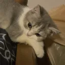 jiwz