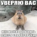 r.a.z.z.z.y