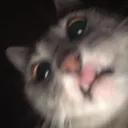 l4pk99n