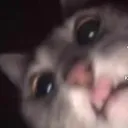 nugicrystals avatar