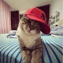 avatar 페렌체니아