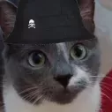 milija_