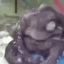 scubafn