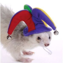 Discord Avatar