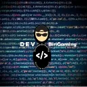 devbirigaming