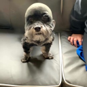 avatar 🏄‍♂️