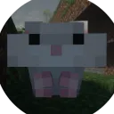 diiizek