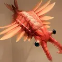 tendaruma85