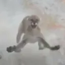 kahzmer