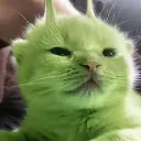 akuss_