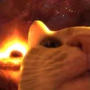 catdabob