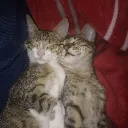 esposadeandres_26 avatar