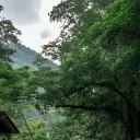 sierice_7