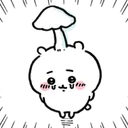 aaaaa5224