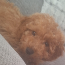 avatar MsManicSparkles