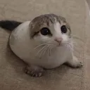 z3nhrt