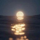 avatar // oreidha ֹ •