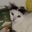 solsbxry