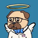 polygonpugz1472