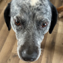 [NA] A_lexyin