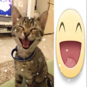 avatar Aidan