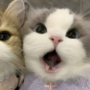 avatar 𝚟𝚟𝚊𝚣𝚒𝚊𝚗