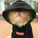 imhughmanatee