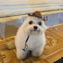 avatar 𝑎𝑎𝑟𝑜𝑛𝑦𝑢