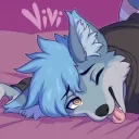 novidoggo