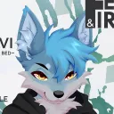novidoggo