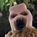 avatar 𝙈𝙖𝙞𝙨 𝜗𝜚