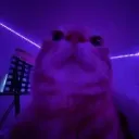 kwixyo_dev