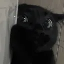 runa.tuna
