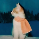 avatar Hanakin (Taylor's Version)