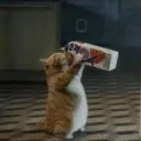 Аватар fle_x_side