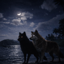 avatar Private_Schneewittchen