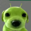 avatar Mogi