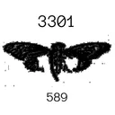 xcicada33012350