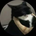 realmecko