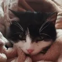 Аватар vlad528_