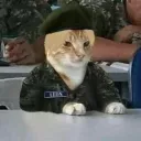 yoshaaa6666