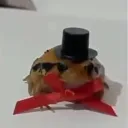 xcondorfugy0926 avatar