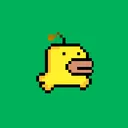 funkducksnft2504