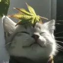 swurp_